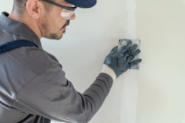 Best Repainting for Renovations  in River Forest, IL